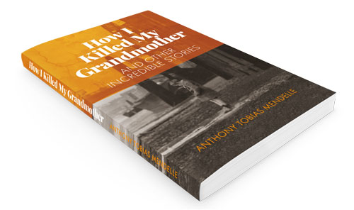 How I Killed My Grandmother Cover
